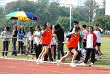SBS_ (1125).JPG